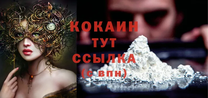 COCAIN FishScale  купить закладку  Гатчина 